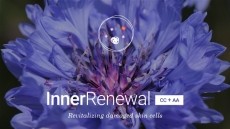Inner Renewal [CC+AA] to revitalize damaged skin cells