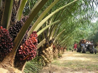 Croda bags Certified Sustainable Palm Oil for its global manufacturing facilities