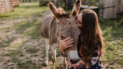 Donkey milk has cosmetic potential for its ability to inhibit melanin synthesis. [Getty Images]