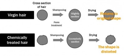 New approaches correct the cross-sectional shape of hair 