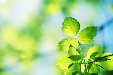 The research centres on an artificial photosynthesis model and ways to use carbon dioxide (CO2) as a source to develop sustainable raw materials (Getty Images)