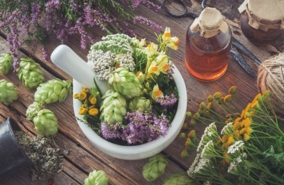 Only 7% of wild medicinal aromatic plants - many of which are used in cosmetics - have a conservation threat status, with one in five of those under threat of extinction (Getty Images)