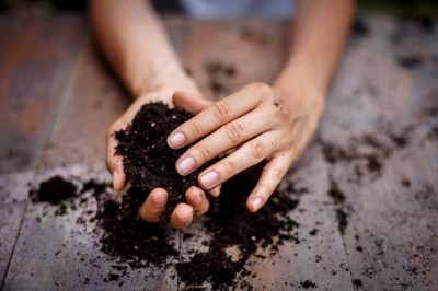Research into soil, compost and agri-food waste continues to rise, shedding light on interesting bioactive characteristics of compounds that can be used in skin care [Getty Images]
