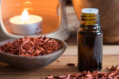 The research team had previously tested sandalwood's antioxidant and anti-aging potential in vitro and ex vivo. © Getty Images - Madeleine_Steinbach