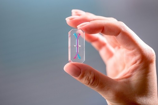 organ-on-chip image courtesy of Emulate
