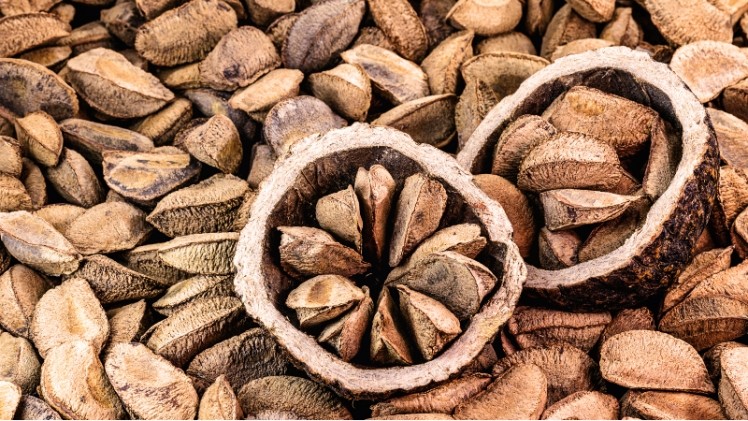 Clariant's product line-up includes an emollient derived from Beraca Brazilian Nut Oil, which is said to improve the skin’s ability to retain moisture. ©Getty Images