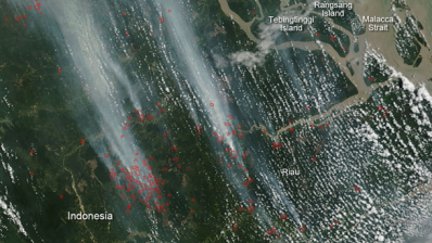 Illegal wildfires lighting up Indonesia may be down to palm oil demand says NASA
