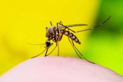 Kao has developed a technology using low-viscosity silicone oil to prevent mosquitoes from landing on the skin, with potential as an insect repellent ingredient. ©Getty Images