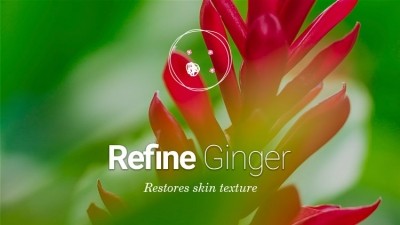 Ginger active cells for a skin retexturation