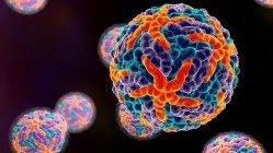 3D illustration of the dengue virus, which causes yellow fever and transmitted by the Aedes aegypti mosquito. [Getty Images]