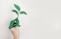Green is the new black: Where does the green beauty movement stand in APAC?