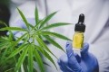 China CBD crackdown: Ban on cannabis cosmetics will likely halt sales online as authorities push 'anti-drug' stance