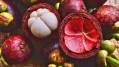 Upcycled hair care: Dandruff clearing properties found in Mangosteen peel extract – Malaysian study