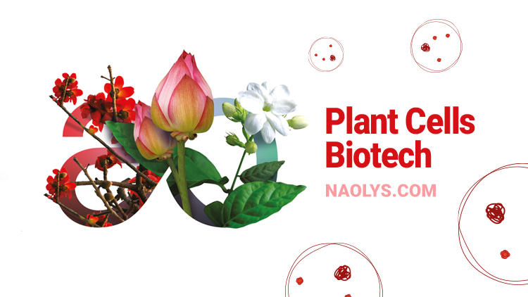 Shaping Beauty's Future: Biotech & Plant Cell Innovation with Naolys at inCosmetics ASIA